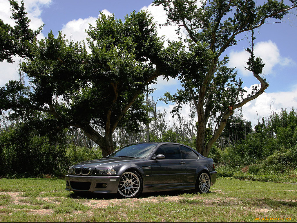 , bmw